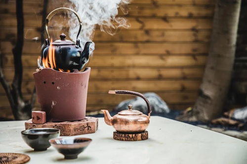 山水印 竹林野茶 茶是一种有益身心的健康饮品,没有年龄限制